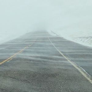 Meet your Posher, Dakota